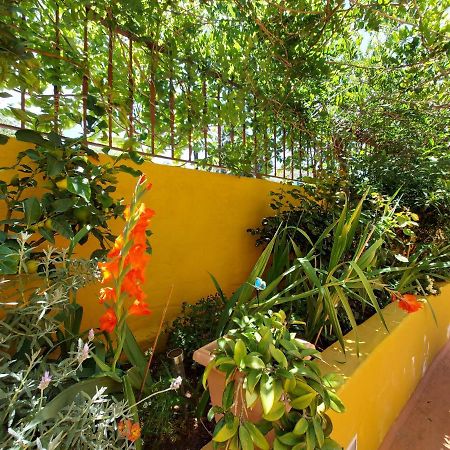 Casa Maestro Lelo – Acogedora Casa Rural Canaria Con Patios Y Jardines De Flores Las Palmas de Gran Canaria Exterior foto