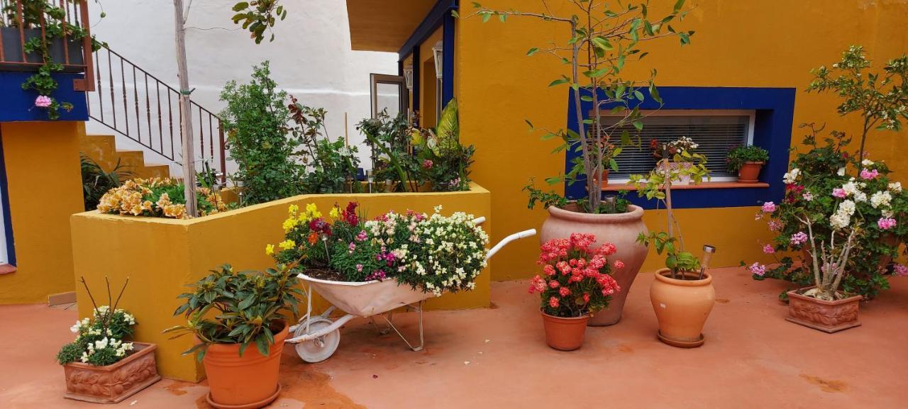 Casa Maestro Lelo – Acogedora Casa Rural Canaria Con Patios Y Jardines De Flores Las Palmas de Gran Canaria Exterior foto