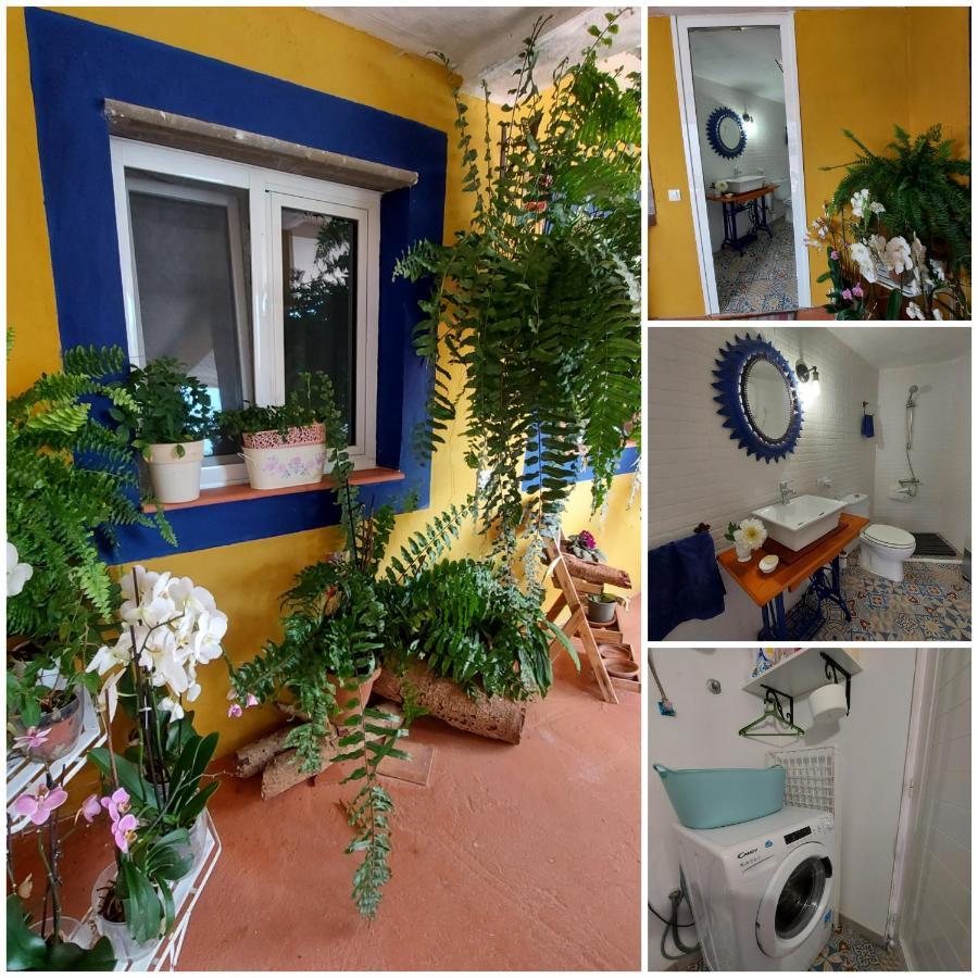 Casa Maestro Lelo – Acogedora Casa Rural Canaria Con Patios Y Jardines De Flores Las Palmas de Gran Canaria Exterior foto