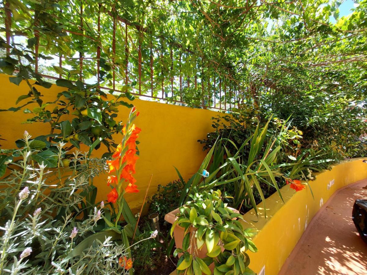 Casa Maestro Lelo – Acogedora Casa Rural Canaria Con Patios Y Jardines De Flores Las Palmas de Gran Canaria Exterior foto